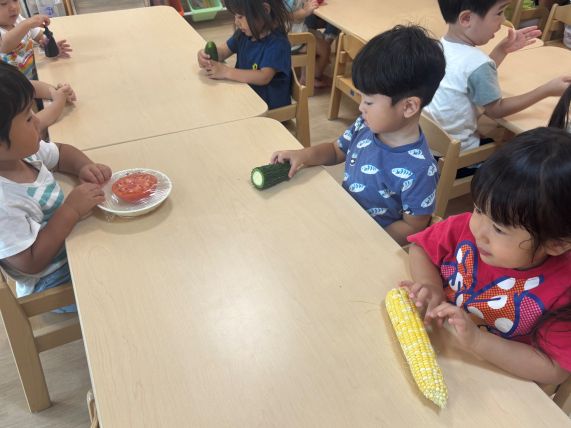 食育～野菜に触れよう・野菜のシルエットクイズ～