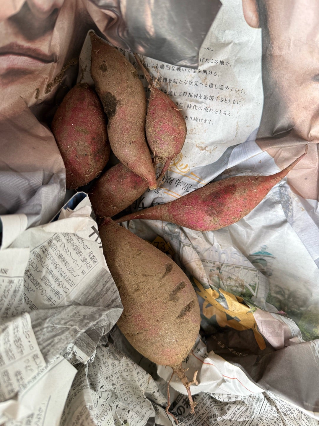 おいもほり♡幼児組