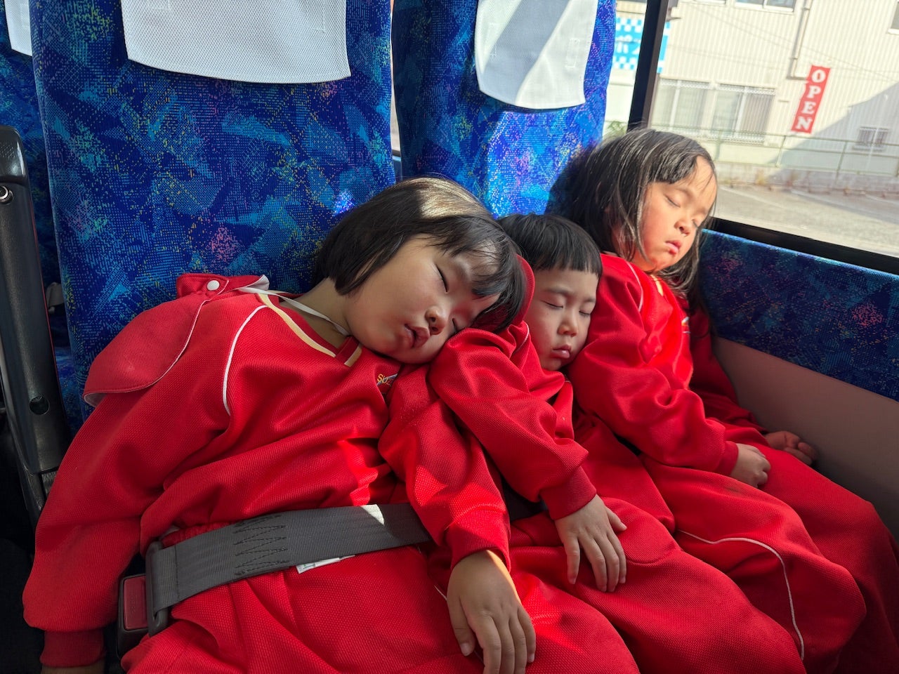 幼児⭐︎秋の遠足