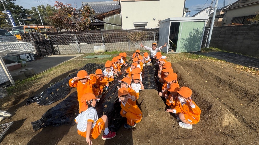 玉ねぎの苗植えがあったよ！【年少/年中】