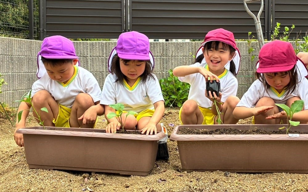夏野菜を植えたよ⭐︎