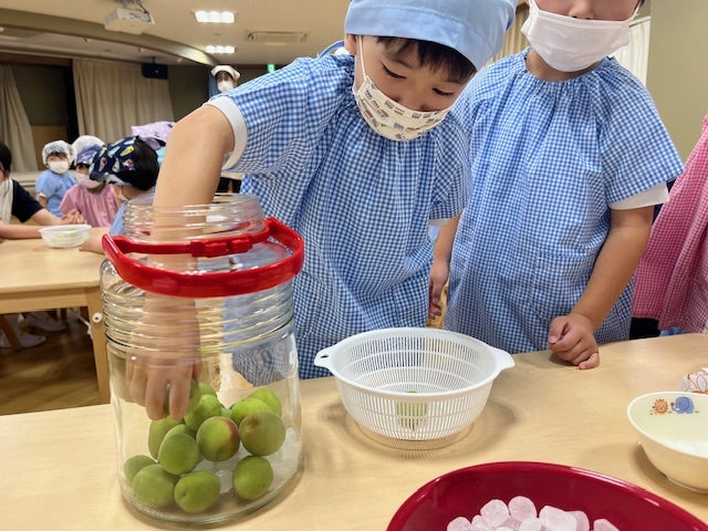 食育☆梅ジュースを作ろう！！